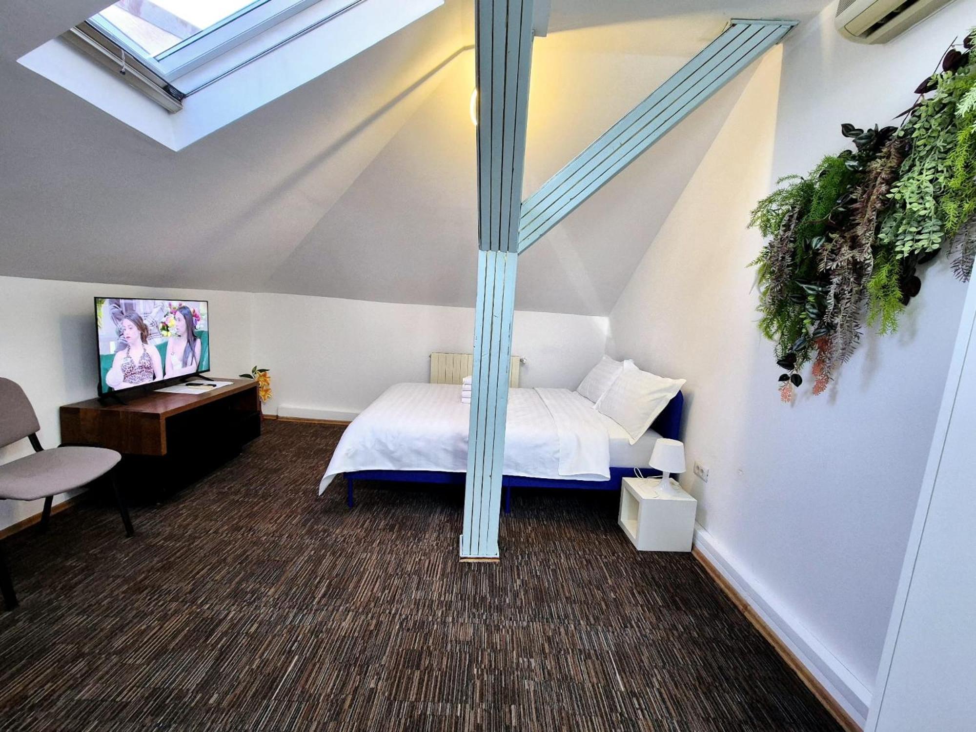 Apartament Boutique Old 5 *